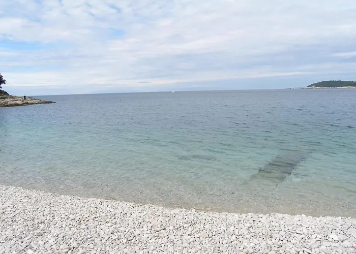 Pleasant Oriana Near The Sea-pula